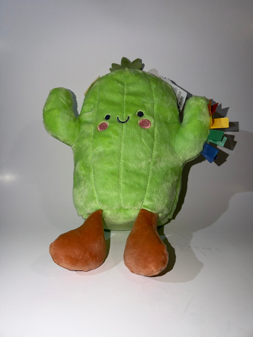 Cooper the Cactus