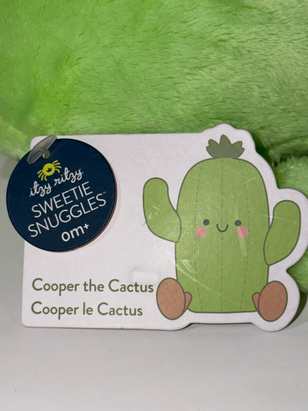 Cooper the Cactus